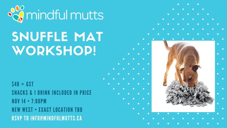 Snuffle Mat Workshop