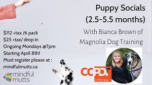 puppy socials mindful mutts