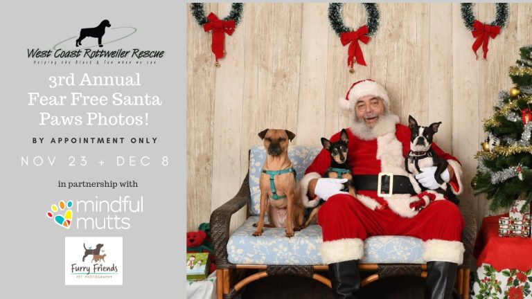 SantaPaws